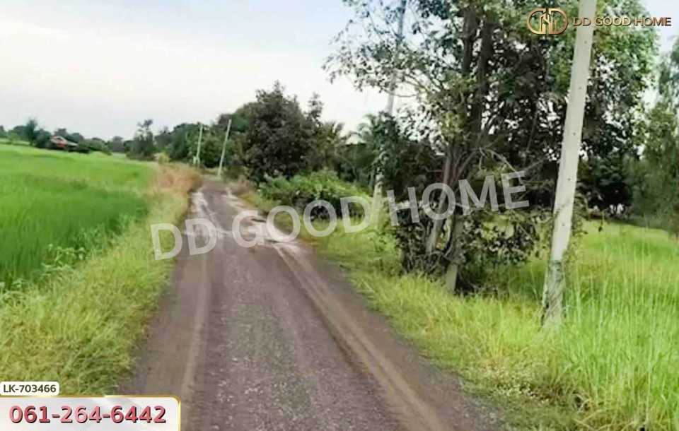ที่ดินหนองบัว 25 ไร่ 77 ตร.ว. นครสวรรค์ ใกล้วัดหนองโบสถ์-4