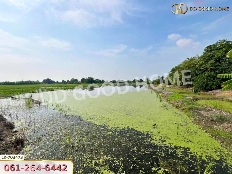 ที่ดินบางเลน 4 ไร่ 325.5 ตร.ว. นครปฐม ใกล้โรงเรียนหนองปรง-7