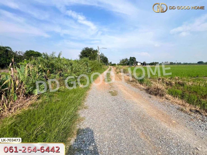 ที่ดินบางเลน 4 ไร่ 325.5 ตร.ว. นครปฐม ใกล้โรงเรียนหนองปรง-3