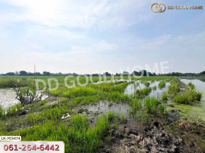 ที่ดินบางเลน 4 ไร่ 325.5 ตร.ว. นครปฐม ใกล้โรงเรียนหนองปรง-7
