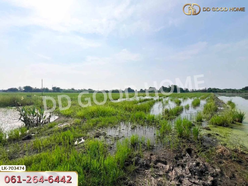 ที่ดินบางเลน 4 ไร่ 325.5 ตร.ว. นครปฐม ใกล้โรงเรียนหนองปรง-7