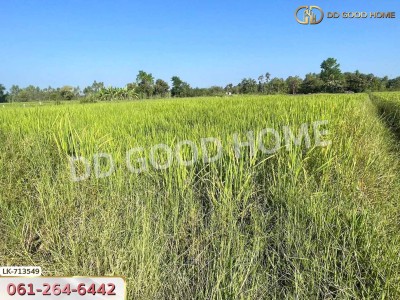 ที่ดินพรรณานิคม 6 ไร่ 231 ตร.ว. สกลนคร ใกล้ศูนย์เรียนรู้ย้อมครามบ้านดอนกอย