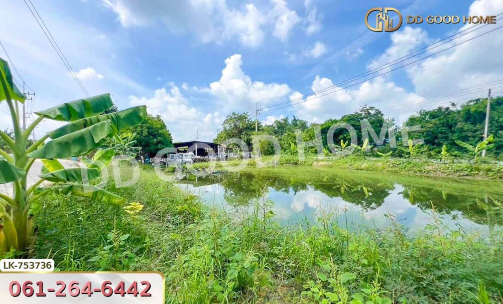 ที่ดินเมืองนครปฐม 1 ไร่ 210 ตร.ว. ใกล้โรงเรียนสารสาสน์วิเทศนครปฐม-6