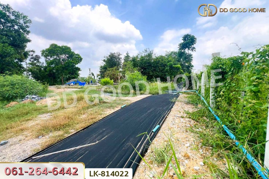 ที่ดินพร้อมสิ่งปลูกสร้างหนองจอก 2 ไร่ 62 ตร.ว. ถ.สุวินทวงศ์ 110 ใกล้สถานีตำรวจนครบาลสุวินทวงศ์.-3