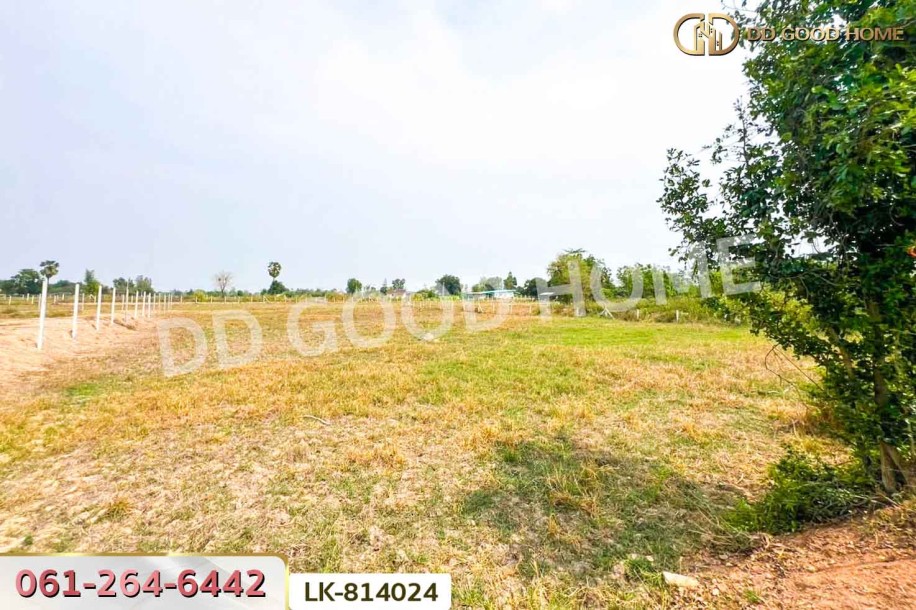 ที่ดินหนองหญ้าไซ 1 ไร่ สุพรรณบุรี ใกล้วัดบัลลังก์-4