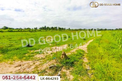 ที่ดินหนองหญ้าไซ 12 ไร่ 204 ตร.ว. สุพรรณบุรี ใกล้โรงเรียนบ้านหนองสำโรง.