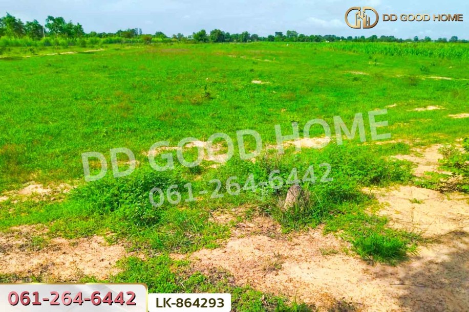 ที่ดินหนองหญ้าไซ 12 ไร่ 204 ตร.ว. สุพรรณบุรี ใกล้โรงเรียนบ้านหนองสำโรง.-7