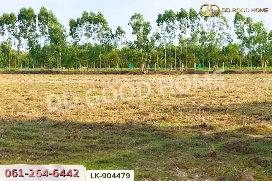 ที่ดินศรีมหาโพธิ 24 ไร่ 112 ตร.ว. ปราจีนบุรี ใกล้วัดหัวซาธรรมิการาม-2