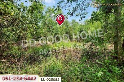 ที่ดินคลองสิบสอง 1 ไร่ 1 ตร.ว. หนองจอก ใกล้ศูนย์สุขภาพโรงพยาบาลเวชการุณย์รัศมิ์