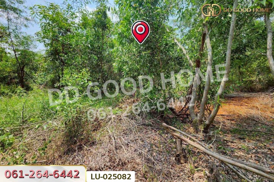 ที่ดินคลองสิบสอง 1 ไร่ 1 ตร.ว. หนองจอก ใกล้ศูนย์สุขภาพโรงพยาบาลเวชการุณย์รัศมิ์-3