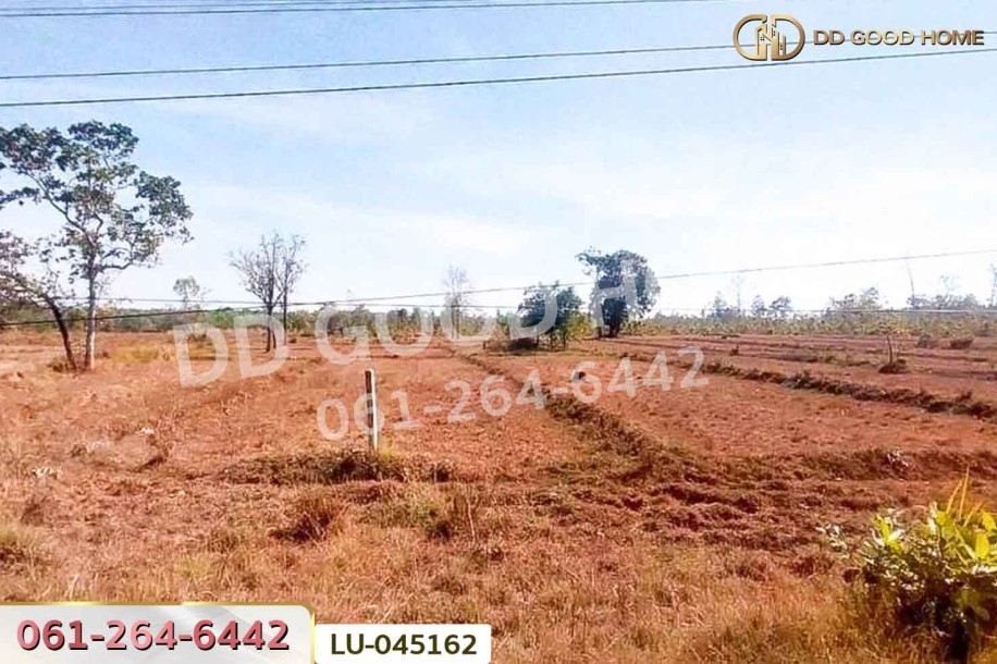 ที่ดินพรรณานิคม 14 ไร่ 196  ตร.ว. สกลนคร ใกล้องค์การบริหารส่วนตำบลบะฮี-5