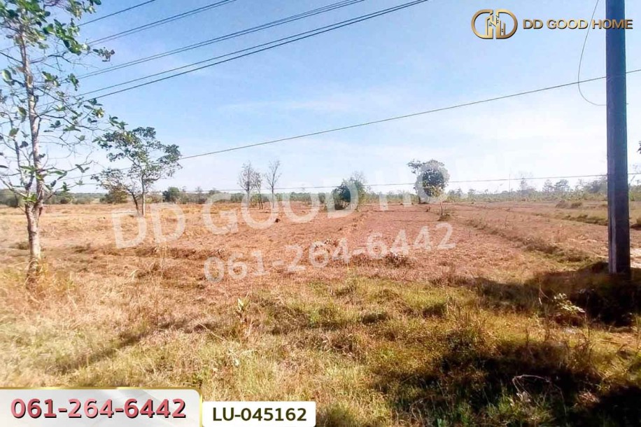 ที่ดินพรรณานิคม 14 ไร่ 196  ตร.ว. สกลนคร ใกล้องค์การบริหารส่วนตำบลบะฮี-3