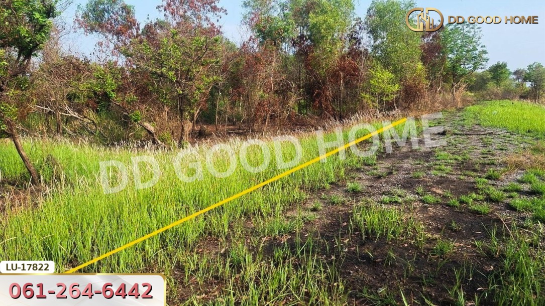 ที่ดิน เขต หนองจอก 335 ตร.ว. กรุงเทพฯ-10