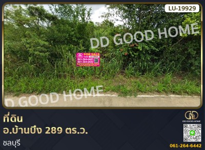 ❌SOLD OUT❌ที่ดิน อ.บ้านบึง 289 ตร.ว. ชลบุรี