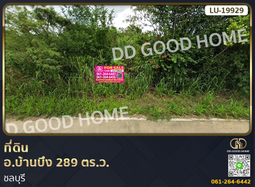 ❌SOLD OUT❌ที่ดิน อ.บ้านบึง 289 ตร.ว. ชลบุรี-1