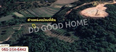 ที่ดิน อ.เวียงชัย 1 ไร่ 245 ตร.ว. เชียงราย