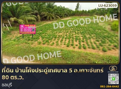 ที่ดิน บ้านโค้งประดู่เทศบาล 5 อ.เกาะจันทร์ 80 ตร.ว. ชลบุรี.
