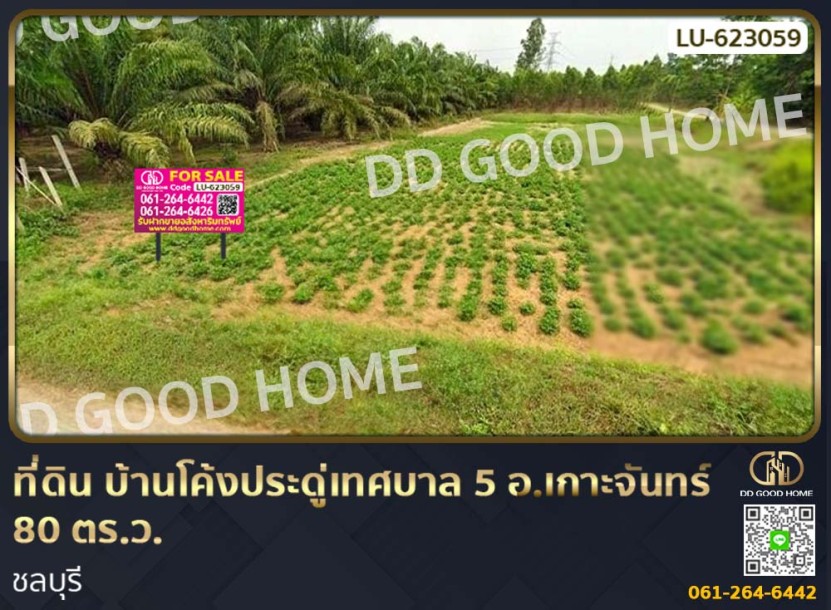 ที่ดิน บ้านโค้งประดู่เทศบาล 5 อ.เกาะจันทร์ 80 ตร.ว. ชลบุรี.-1