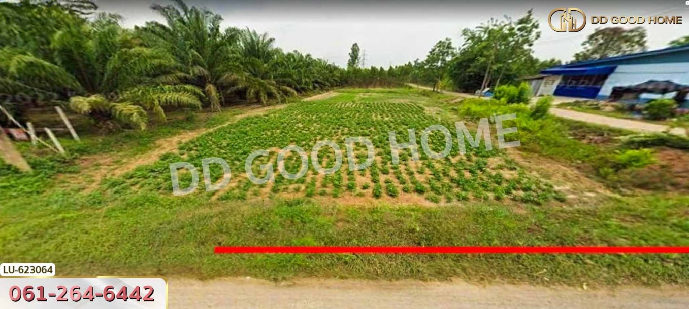 ที่ดิน บ้านโค้งประดู่เทศบาล 5 อ.เกาะจันทร์ 80 ตร.ว. ชลบุรี-2