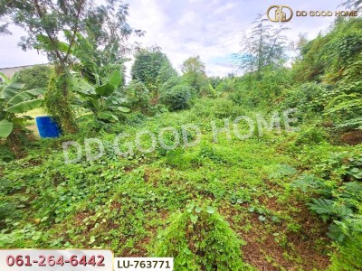 ที่ดินหมู่บ้านปั้นทอง 3 30 ตร.ว. บางเขน ใกล้เซ็นทรัลรามอินทรา-9