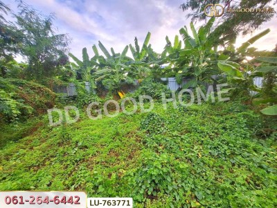ที่ดินหมู่บ้านปั้นทอง 3 30 ตร.ว. บางเขน ใกล้เซ็นทรัลรามอินทรา-8