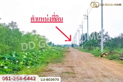 ที่ดินคลองหลวง 2 ไร่ 25 ตร.ว. ปทุมธานี ใกล้วัดพระธรรมกาย (เช่า).-9