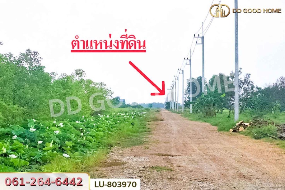 ที่ดินคลองหลวง 2 ไร่ 25 ตร.ว. ปทุมธานี ใกล้วัดพระธรรมกาย (เช่า).-9