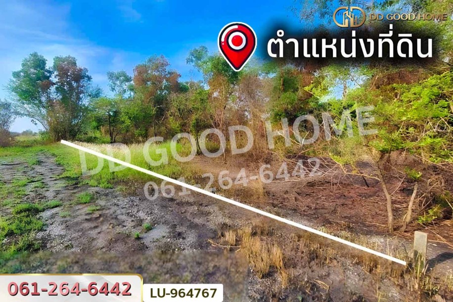 ที่ดินหนองจอก 335 ตร.ว. ใกล้ แม็คโคร หนองจอก-9