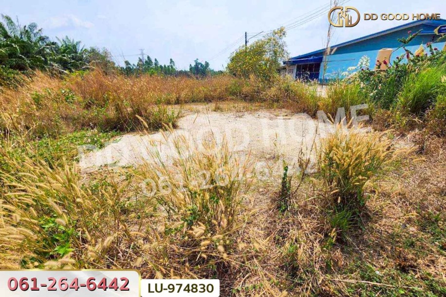 ที่ดินบ้านโค้งประดู่เทศบาล 5 เกาะจันทร์ 80 ตร.ว. ชลบุรี ใกล้ที่ว่าการอำเภอเกาะจันทร์-10