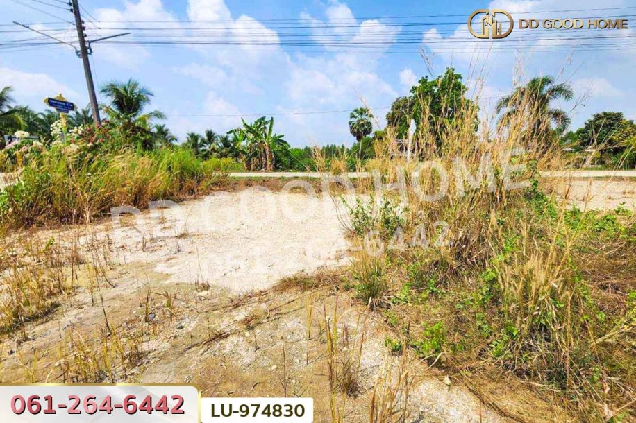ที่ดินบ้านโค้งประดู่เทศบาล 5 เกาะจันทร์ 80 ตร.ว. ชลบุรี ใกล้ที่ว่าการอำเภอเกาะจันทร์-9