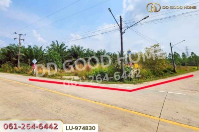 ที่ดินบ้านโค้งประดู่เทศบาล 5 เกาะจันทร์ 80 ตร.ว. ชลบุรี ใกล้ที่ว่าการอำเภอเกาะจันทร์