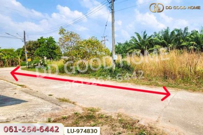 ที่ดินบ้านโค้งประดู่เทศบาล 5 เกาะจันทร์ 80 ตร.ว. ชลบุรี ใกล้ที่ว่าการอำเภอเกาะจันทร์