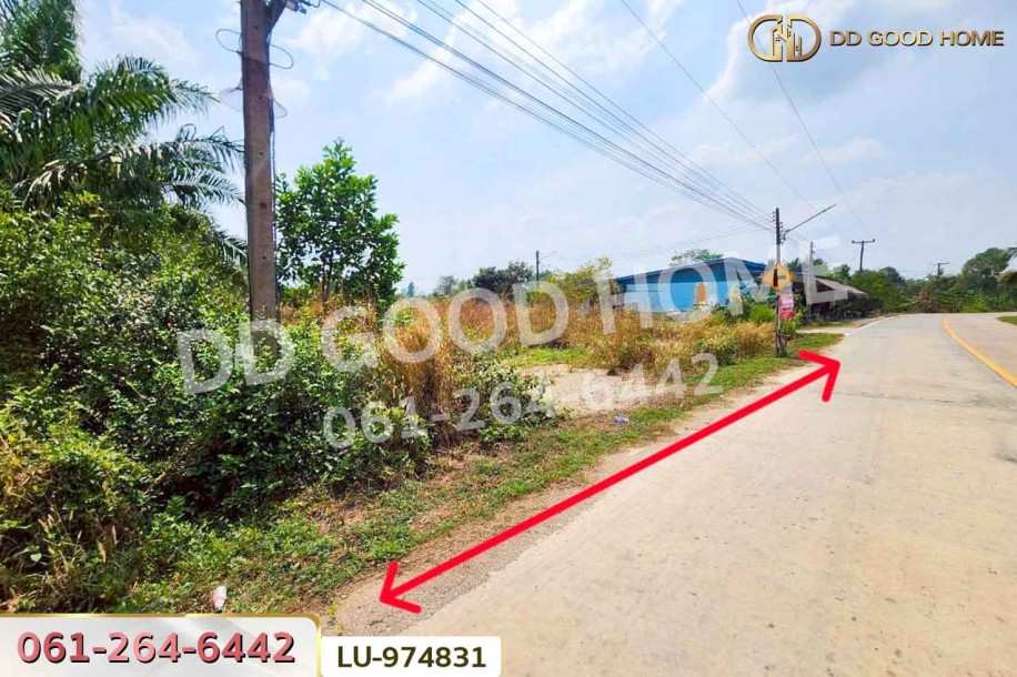 ที่ดินบ้านโค้งประดู่เทศบาล 5 เกาะจันทร์ 80 ตร.ว. ชลบุรี ใกล้ที่ว่าการอำเภอเกาะจันทร์-9