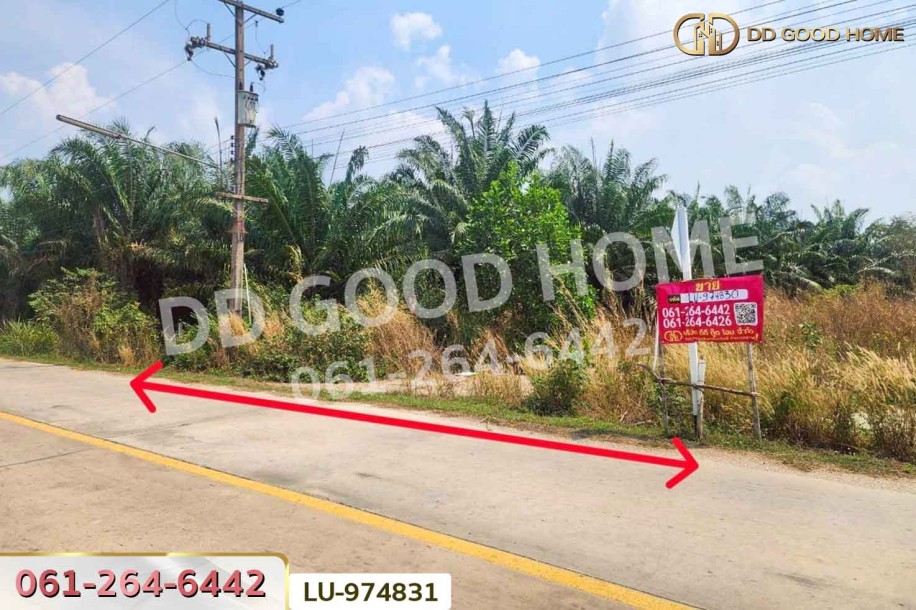 ที่ดินบ้านโค้งประดู่เทศบาล 5 เกาะจันทร์ 80 ตร.ว. ชลบุรี ใกล้ที่ว่าการอำเภอเกาะจันทร์-8