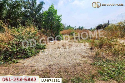 ที่ดินบ้านโค้งประดู่เทศบาล 5 เกาะจันทร์ 80 ตร.ว. ชลบุรี ใกล้ที่ว่าการอำเภอเกาะจันทร์