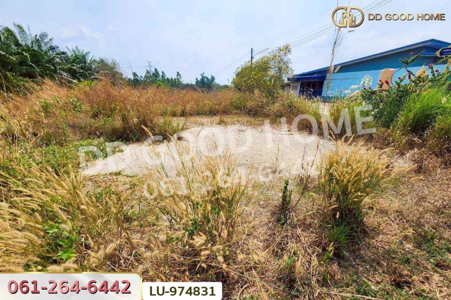 ที่ดินบ้านโค้งประดู่เทศบาล 5 เกาะจันทร์ 80 ตร.ว. ชลบุรี ใกล้ที่ว่าการอำเภอเกาะจันทร์-6