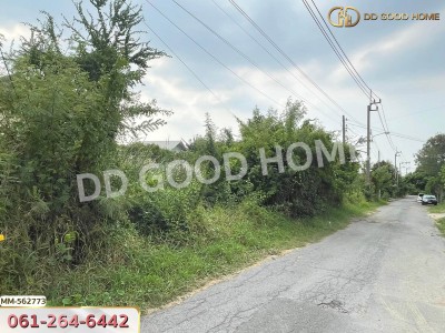 ที่ดิน พุทธมณฑลสาย 3 ทวีวัฒนา 114 ตร.ว.-3