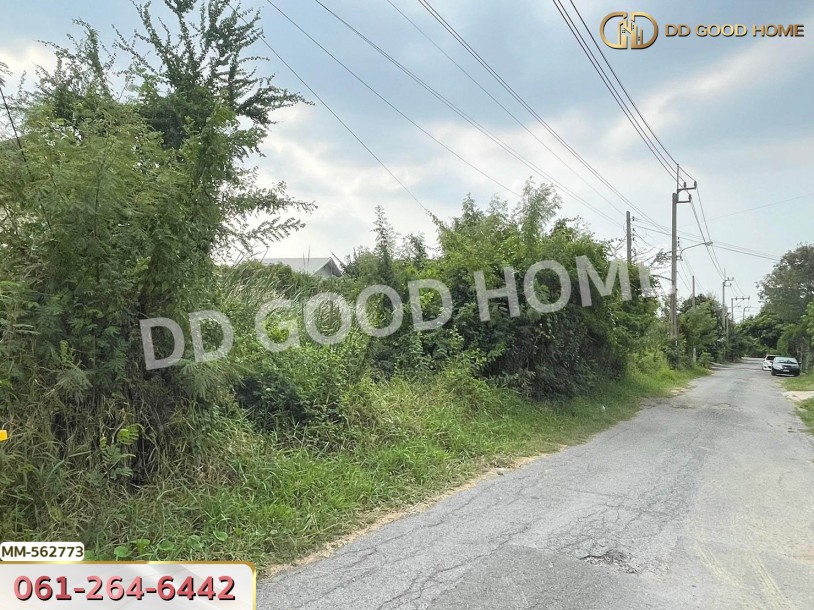 ที่ดิน พุทธมณฑลสาย 3 ทวีวัฒนา 114 ตร.ว.-3
