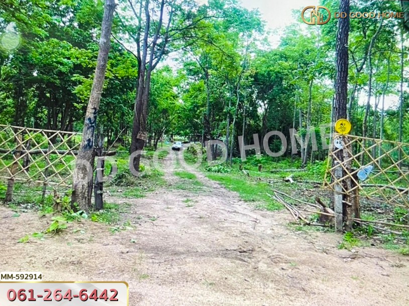 ที่ดิน อ.เมืองตาก 4 ไร่ จ.ตาก-3