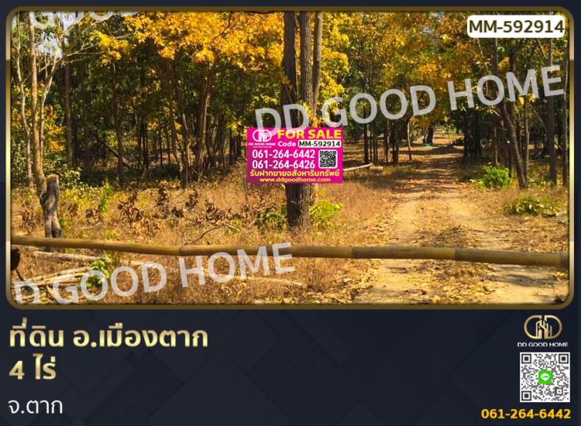 ที่ดิน อ.เมืองตาก 4 ไร่ จ.ตาก-1