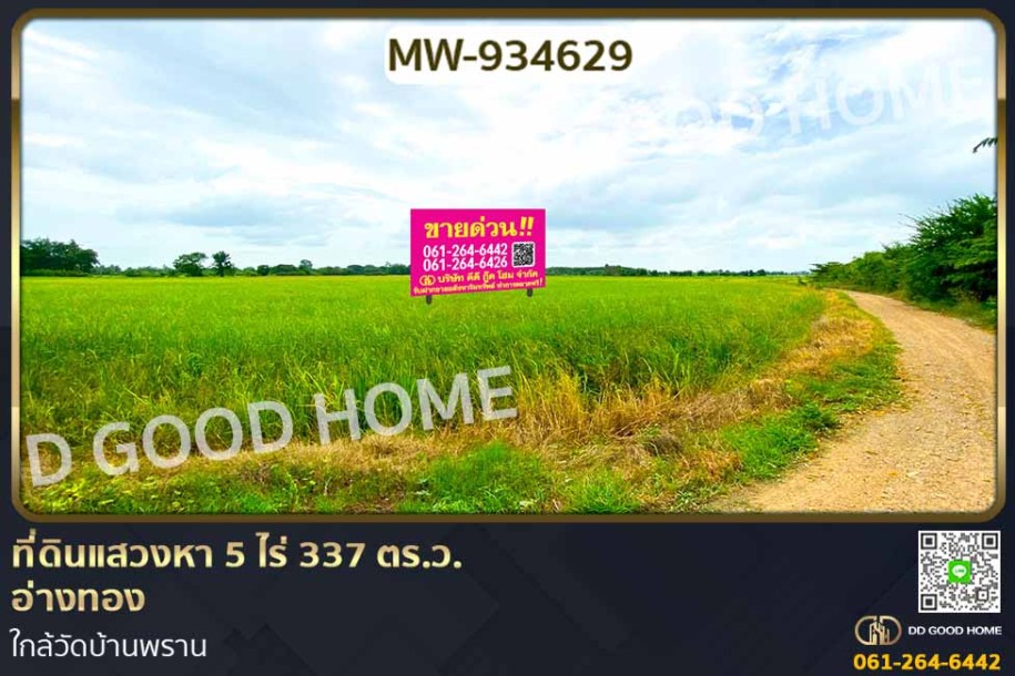 ที่ดินแสวงหา 5 ไร่ 337 ตร.ว. อ่างทอง ใกล้วัดบ้านพราน-1