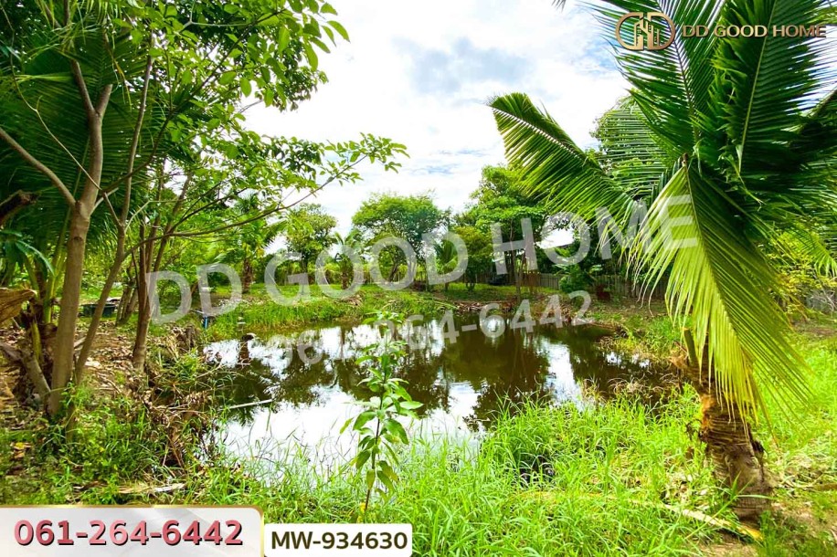 ที่ดินพร้อมสิ่งปลูกสร้างหัวไผ่ 1 ไร่ 78.7 ตร.ว. อ่างทอง ใกล้โรงเรียนวัดเชิงหวาย-3