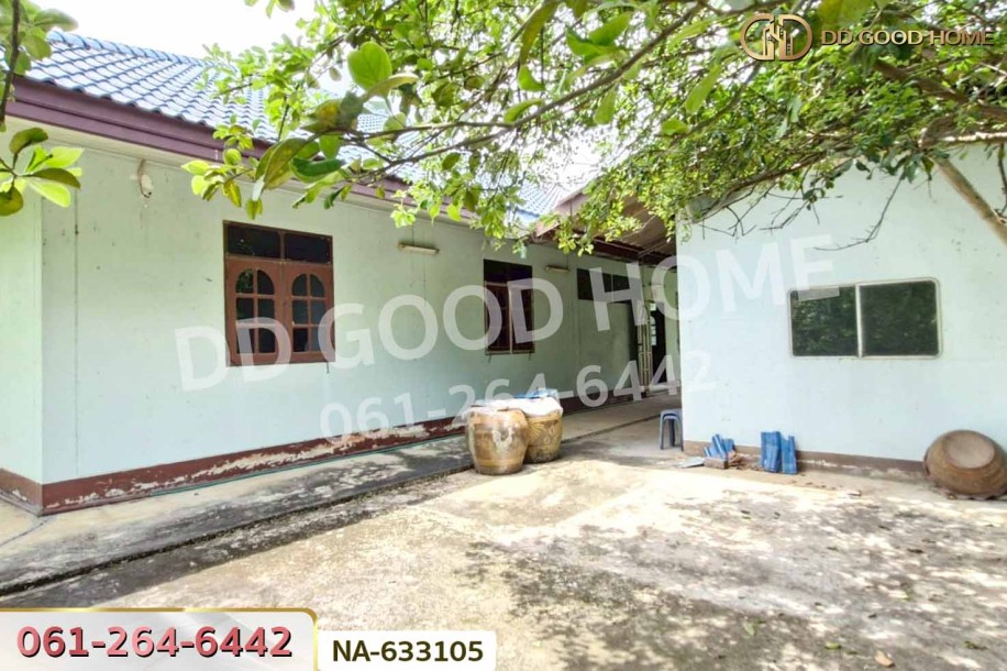 ที่ดินพร้อมสิ่งปลูกสร้างปากท่อ 22 ไร่ 363 ตร.ว. ราชบุรี ใกล้ศูนย์วัฒนธรรมไทยทรงดำบ้านเขาหัวจีน-8