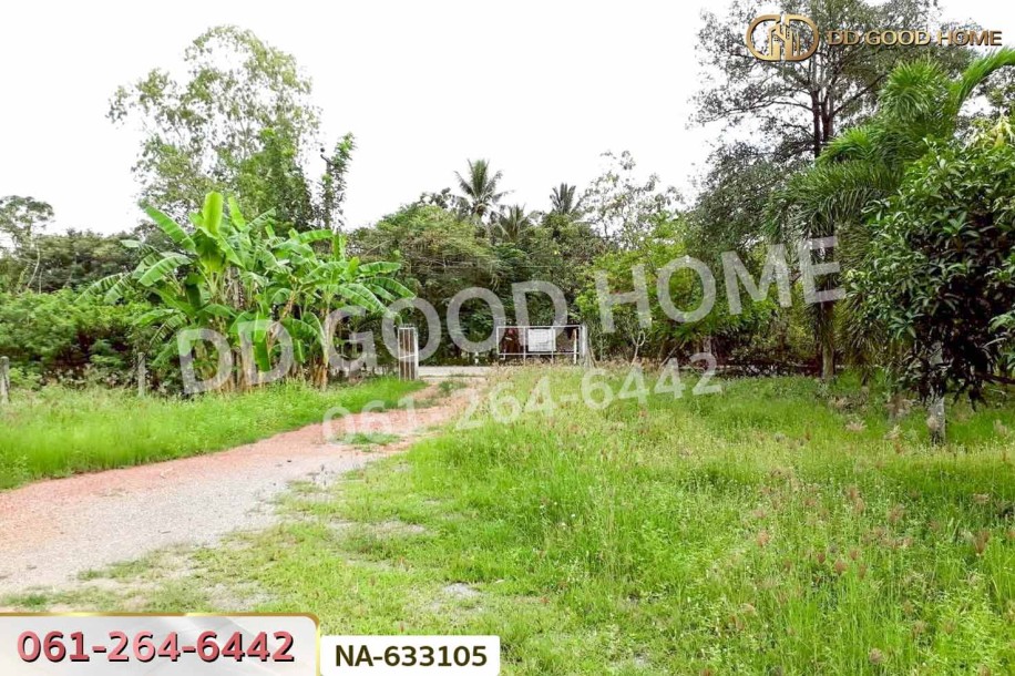ที่ดินพร้อมสิ่งปลูกสร้างปากท่อ 22 ไร่ 363 ตร.ว. ราชบุรี ใกล้ศูนย์วัฒนธรรมไทยทรงดำบ้านเขาหัวจีน-7