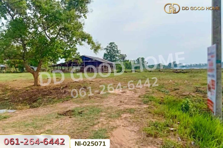 ที่ดินบ้านกรวด 7 ไร่ 86.4 ตร.ว. บุรีรัมย์ ใกล้โรงพยาบาลบ้านกรวด-10