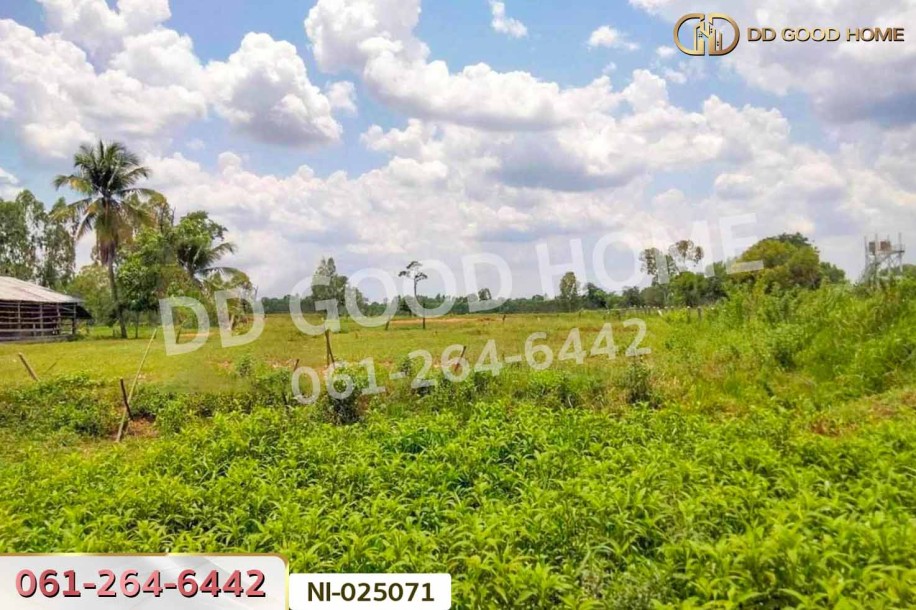 ที่ดินบ้านกรวด 7 ไร่ 86.4 ตร.ว. บุรีรัมย์ ใกล้โรงพยาบาลบ้านกรวด-2