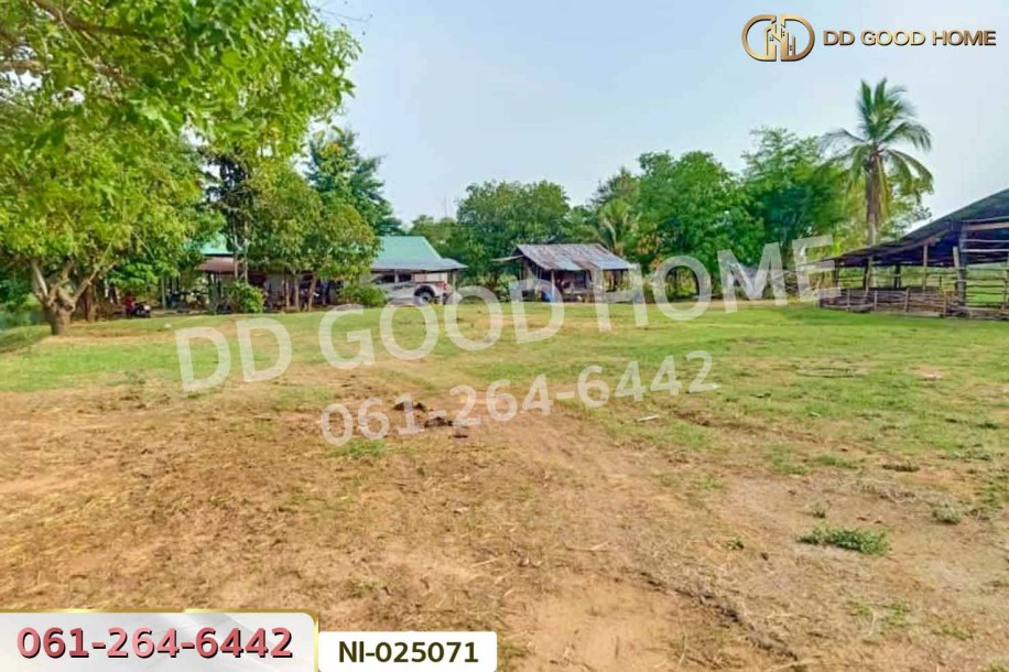 ที่ดินบ้านกรวด 7 ไร่ 86.4 ตร.ว. บุรีรัมย์ ใกล้โรงพยาบาลบ้านกรวด-9