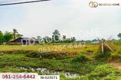 ที่ดินบ้านกรวด 7 ไร่ 86.4 ตร.ว. บุรีรัมย์ ใกล้โรงพยาบาลบ้านกรวด-6