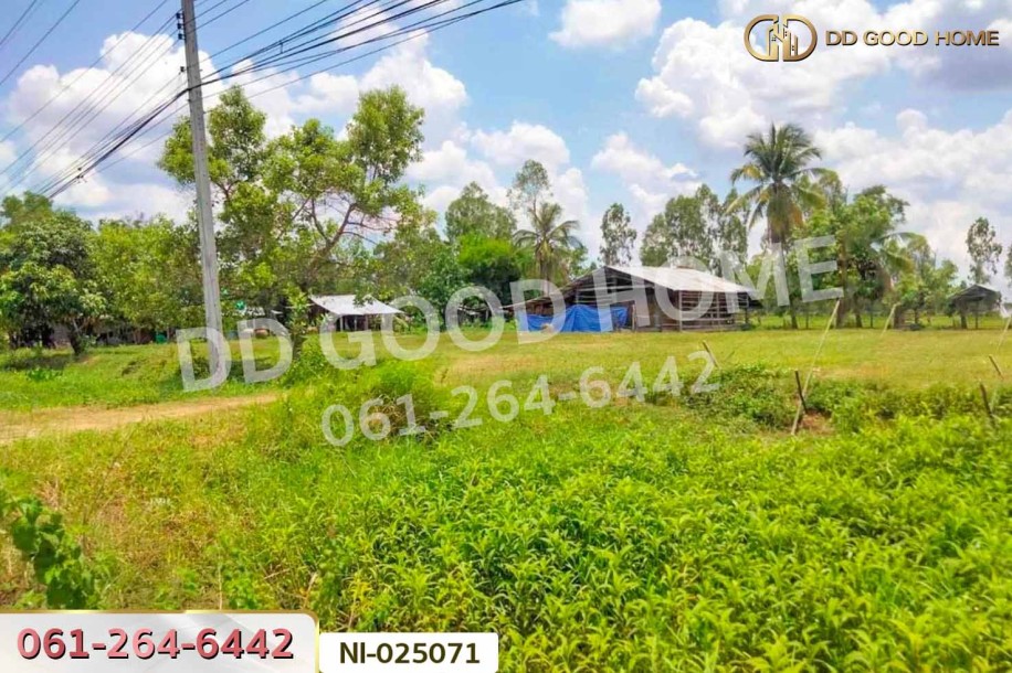 ที่ดินบ้านกรวด 7 ไร่ 86.4 ตร.ว. บุรีรัมย์ ใกล้โรงพยาบาลบ้านกรวด-5