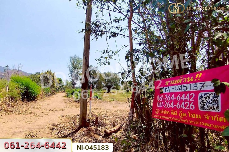 ที่ดินปากช่อง 15 ไร่ 3.44 ตร.ว. พญาเย็น นครราชสีมา ใกล้The wild เขาใหญ่-2